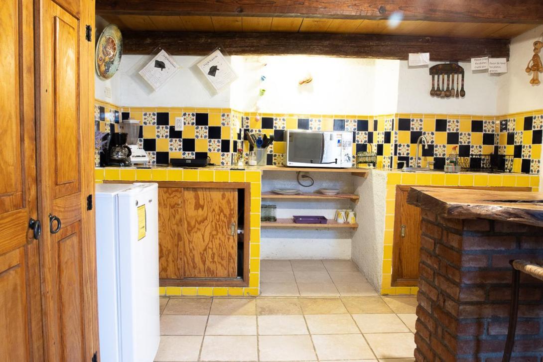 גואנאחואטו Lofts Las Cuatro Puertas מראה חיצוני תמונה